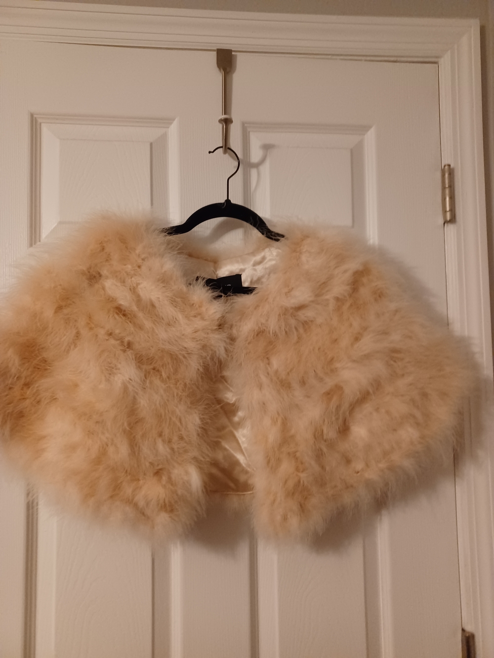 Ava Kris Dyed Rooster Feathers Capelet Jacket in Champagne